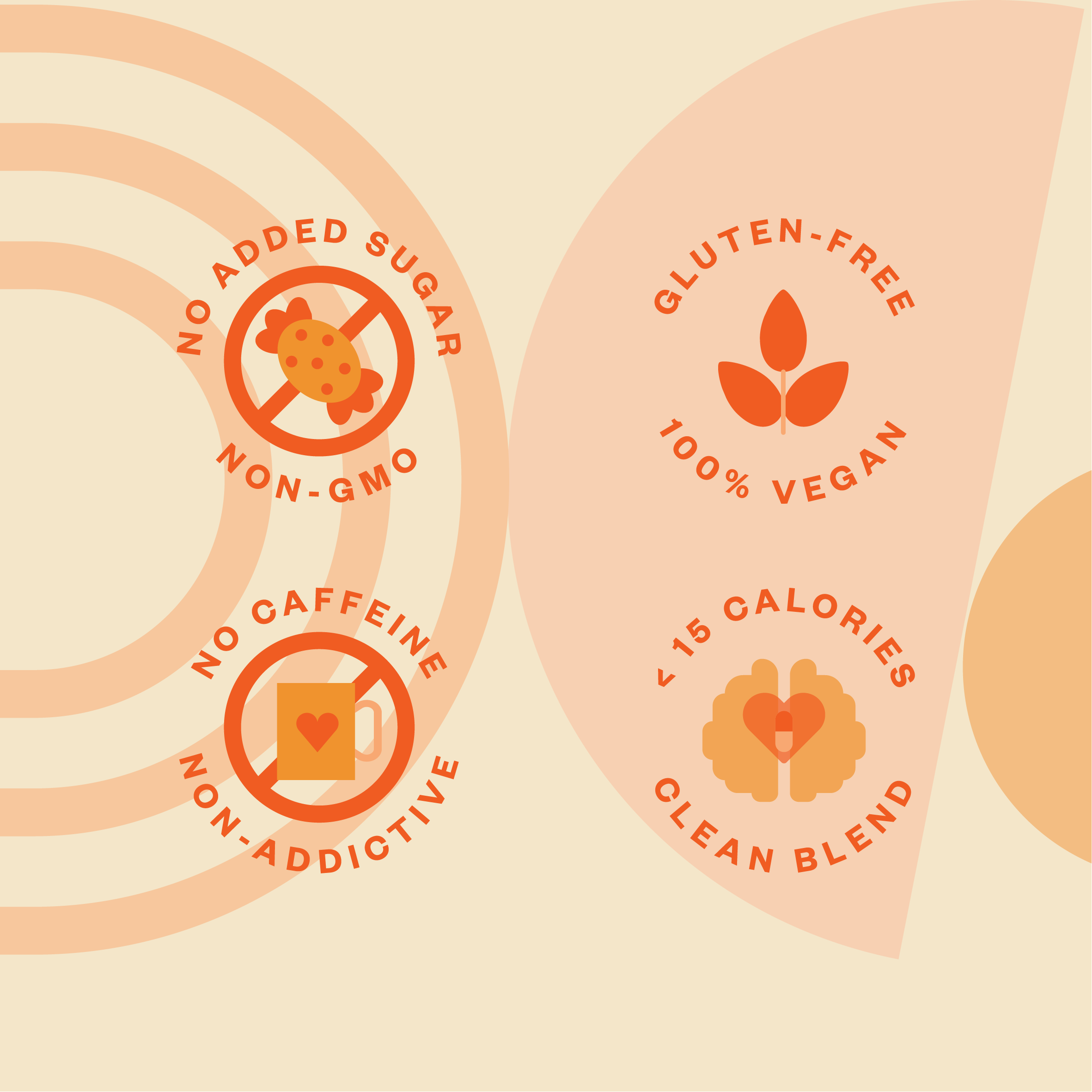 Plnty Focus - Zesty Orange